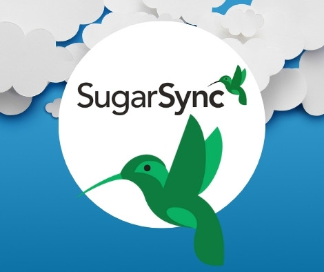 SugarSync presentation